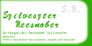 szilveszter mecsnober business card